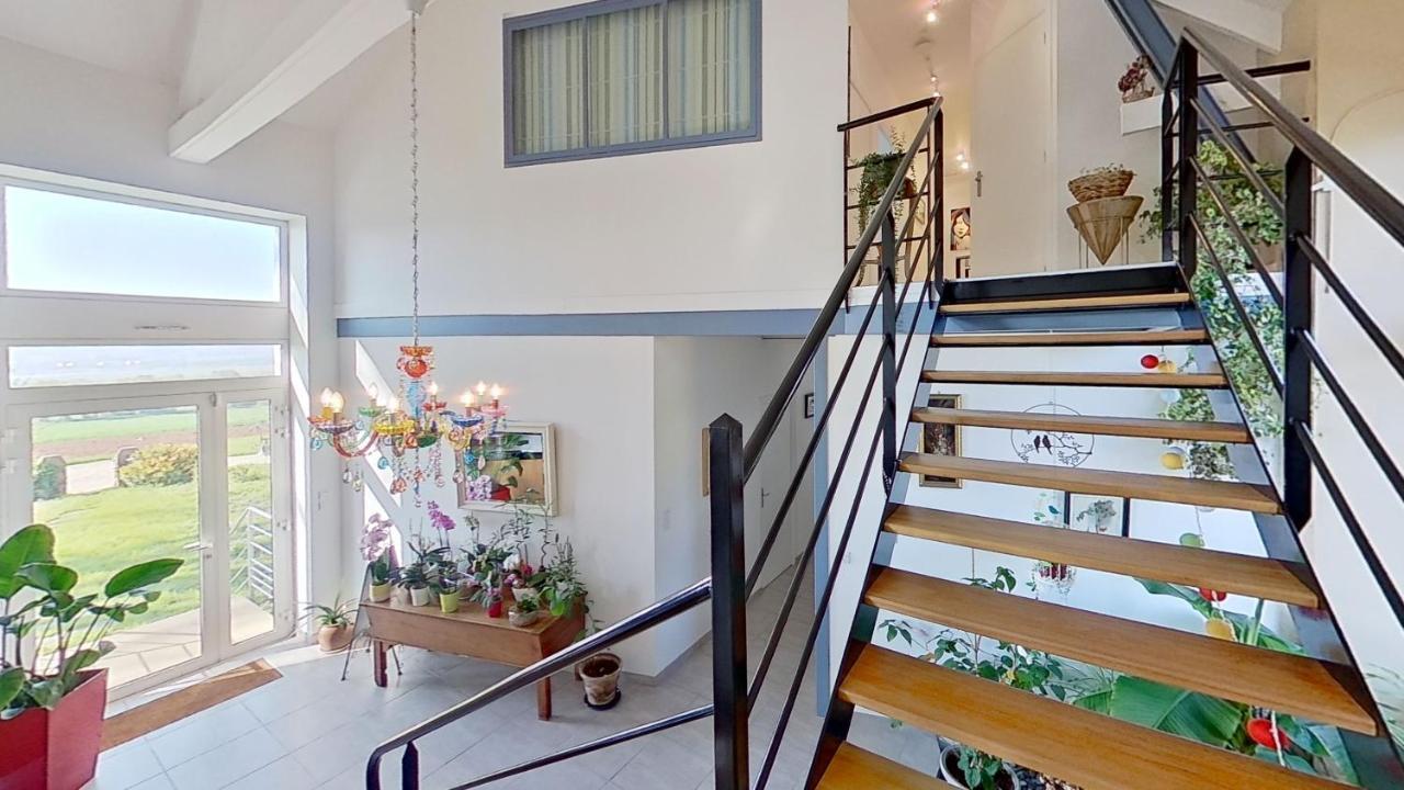 Belle Visnonia B&B Gluten Free & Traditional Beganne ภายนอก รูปภาพ